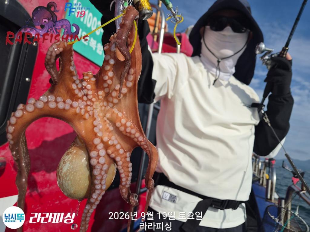 낚시뚜,돌문어,속천항(진해),라라피싱,낚시뚜3