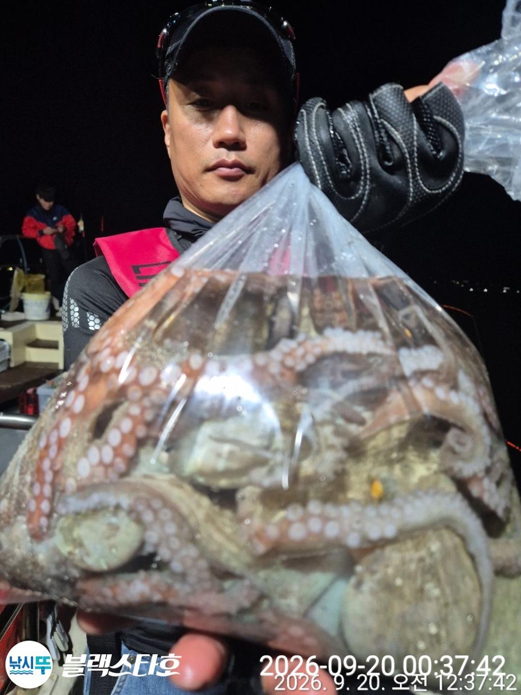 낚시뚜,돌문어,삼천포 팔포항,삼천포 블랙스타,낚시뚜14