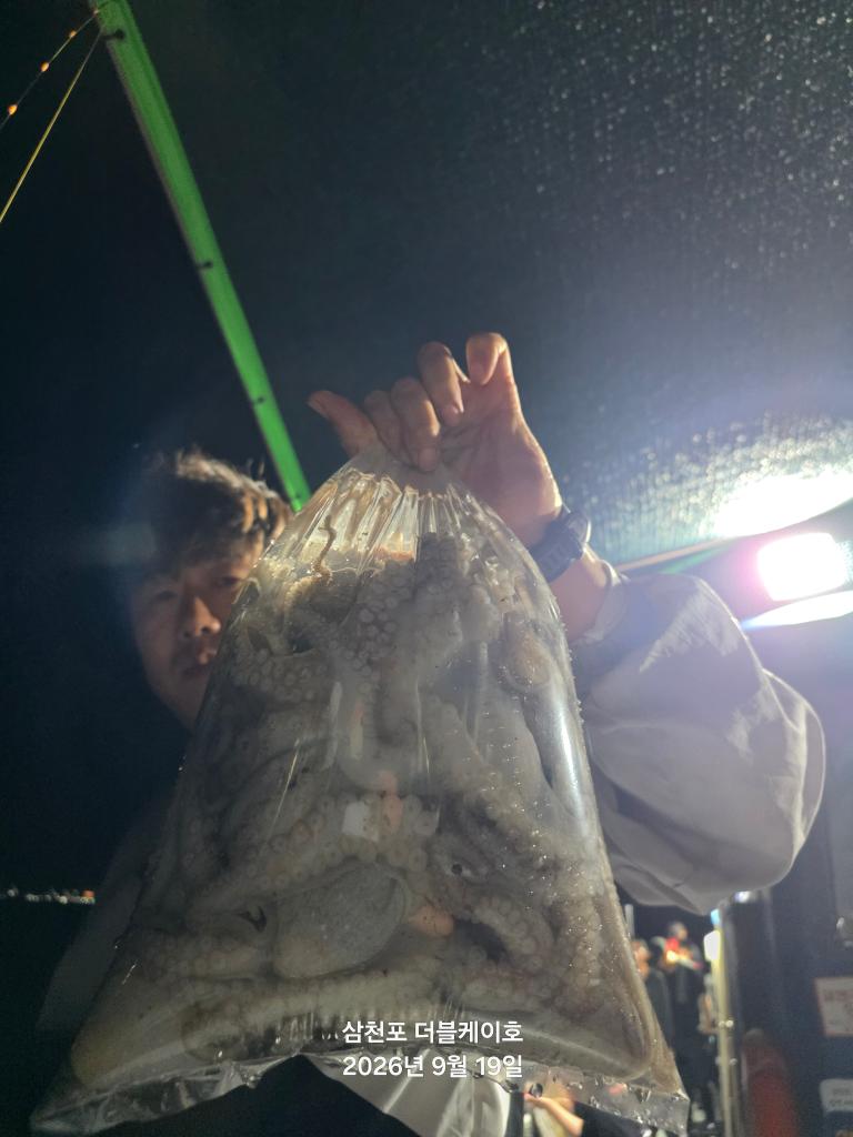 낚시뚜,돌문어,쭈꾸미,삼천포 팔포항,삼천포 더블케이호,낚시뚜12