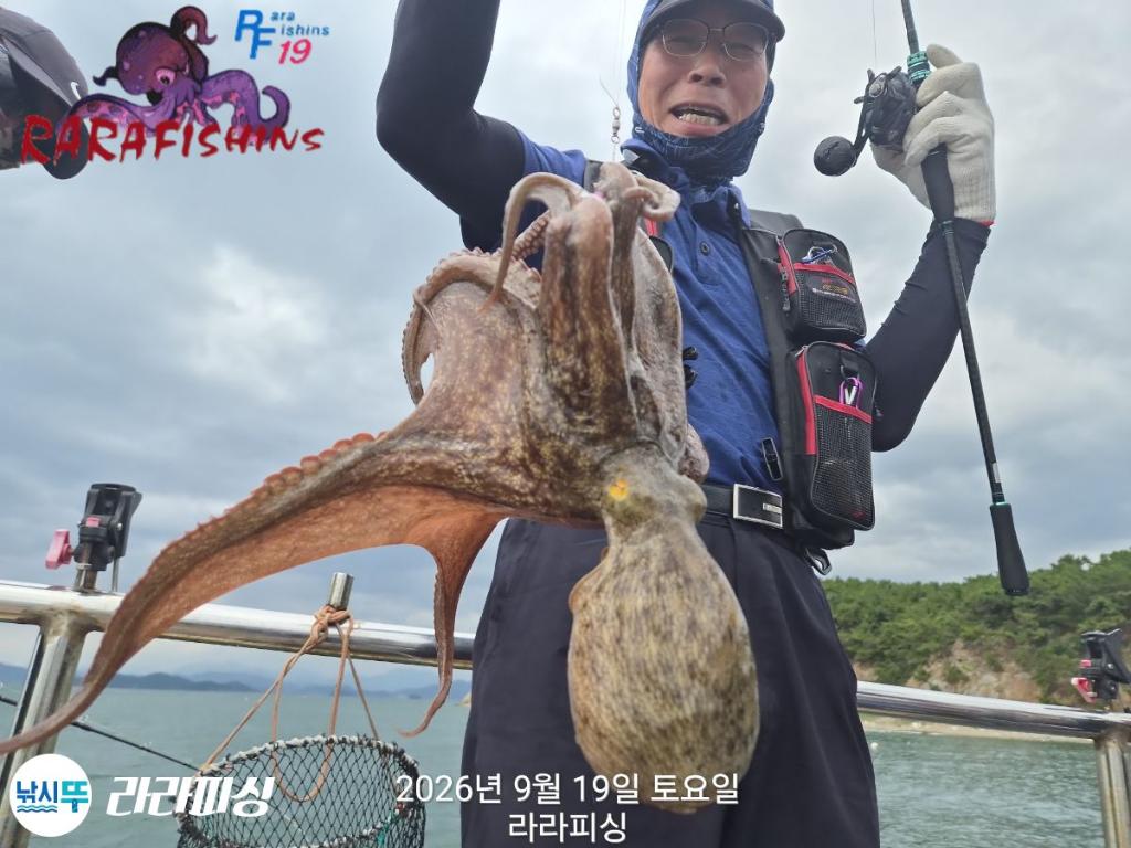 낚시뚜,돌문어,속천항(진해),라라피싱,낚시뚜2