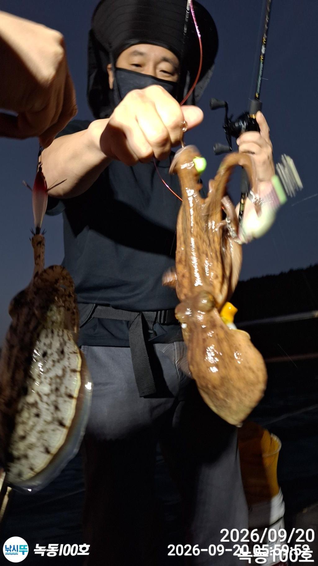 낚시뚜,돌문어,갑오징어,녹동항,녹동100호,낚시뚜7