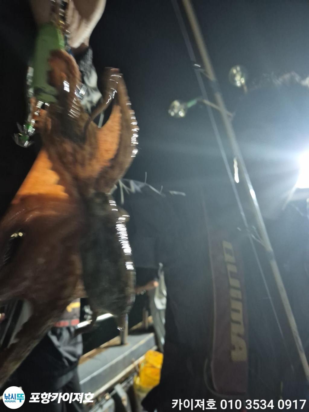 낚시뚜,기타 (직접입력),영일만항,포항카이져호,낚시뚜40