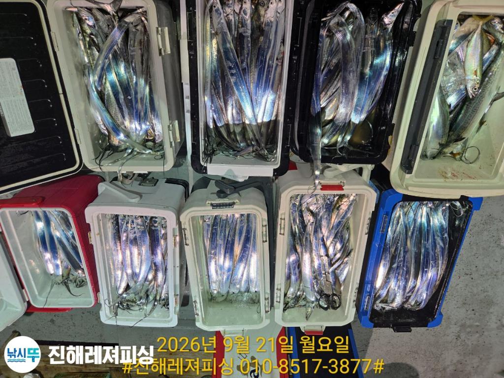 낚시뚜,갈치,진해1부두항,진해레져피싱,낚시뚜26