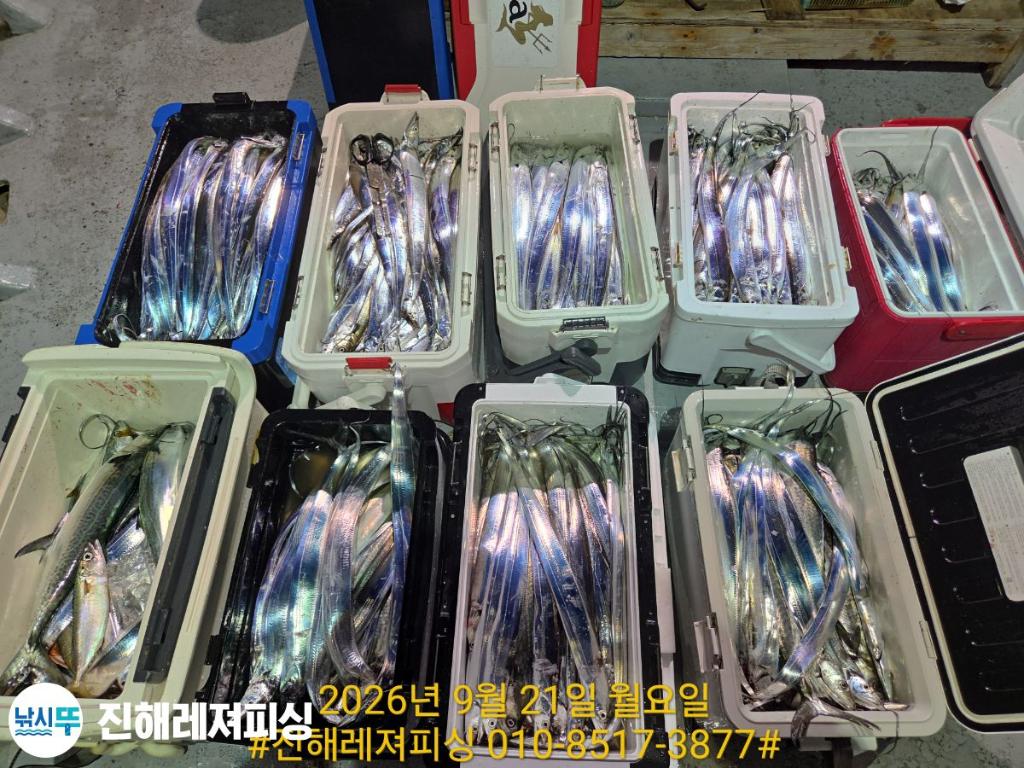 낚시뚜,갈치,진해1부두항,진해레져피싱,낚시뚜25
