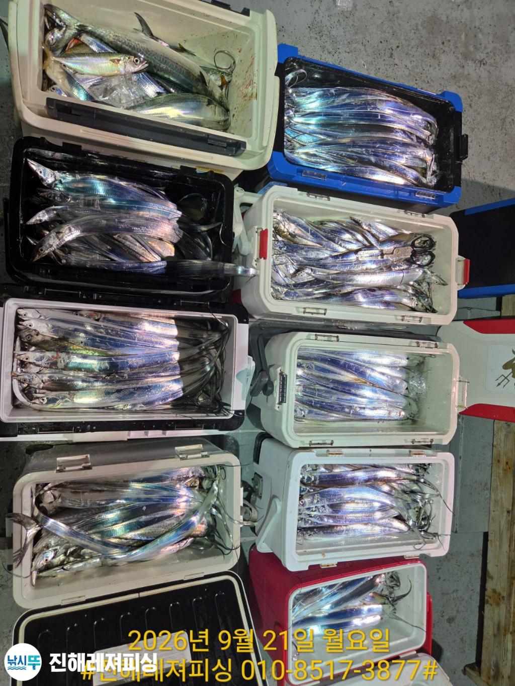 낚시뚜,갈치,진해1부두항,진해레져피싱,낚시뚜22