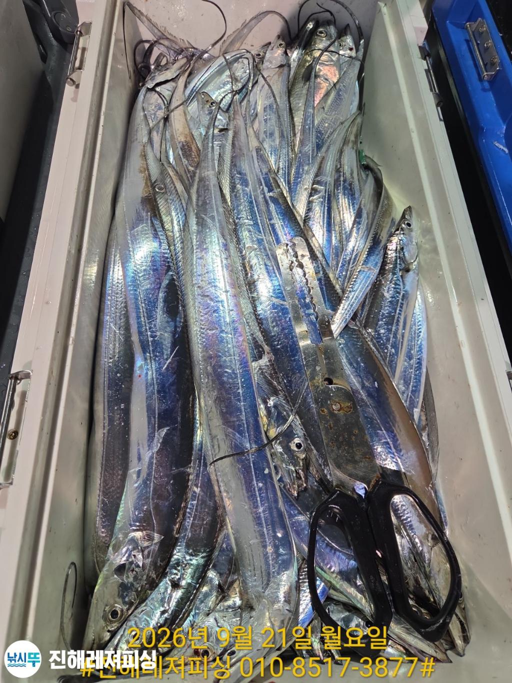 낚시뚜,갈치,진해1부두항,진해레져피싱,낚시뚜20