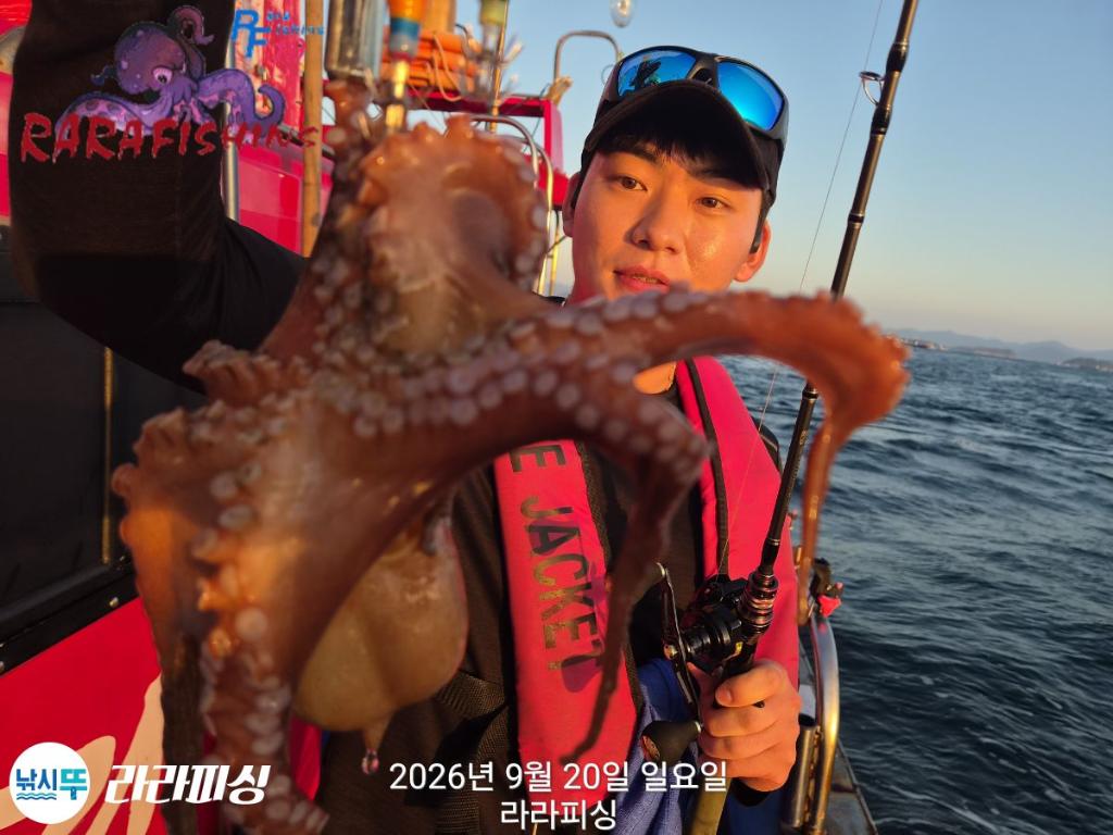 낚시뚜,돌문어,속천항(진해),라라피싱,낚시뚜8