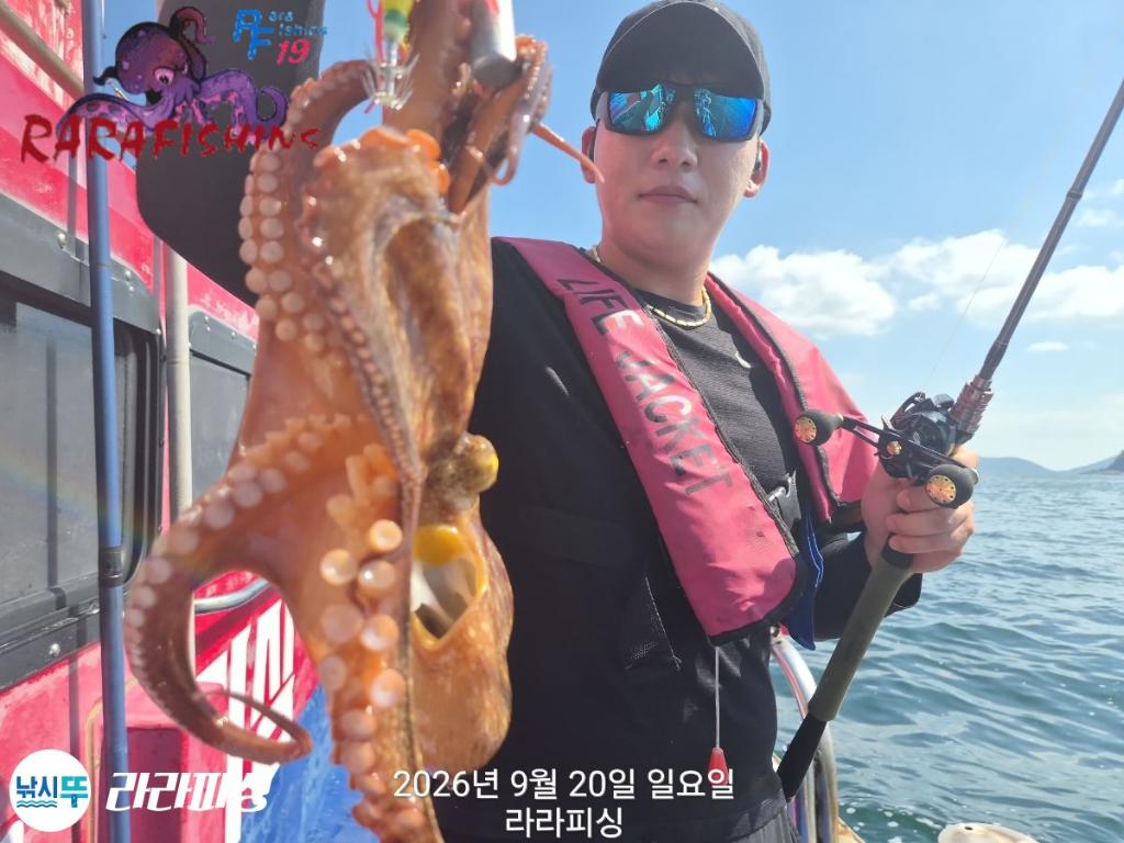 낚시뚜,돌문어,속천항(진해),라라피싱,낚시뚜6