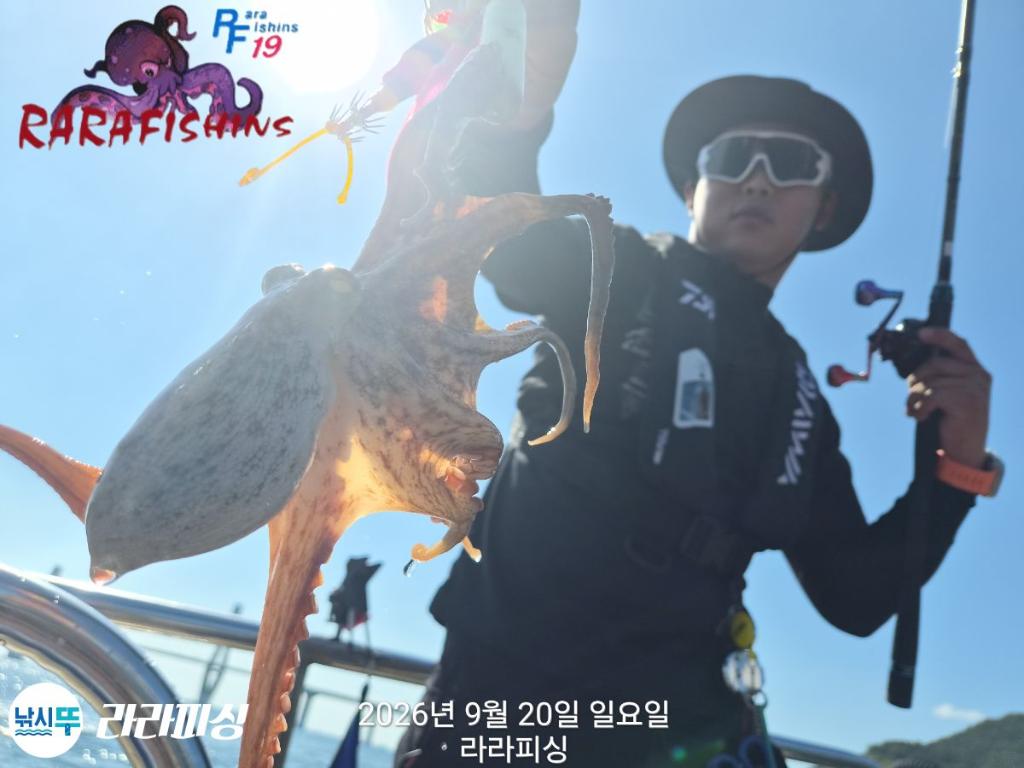낚시뚜,돌문어,속천항(진해),라라피싱,낚시뚜10