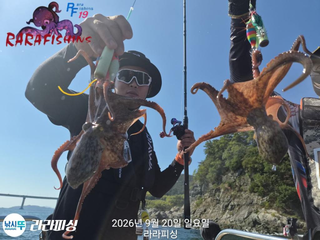 낚시뚜,돌문어,속천항(진해),라라피싱,낚시뚜6