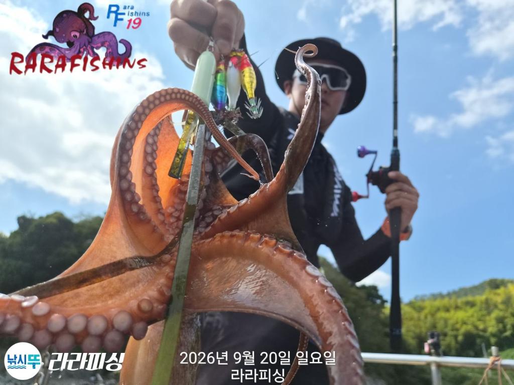 낚시뚜,돌문어,속천항(진해),라라피싱,낚시뚜4