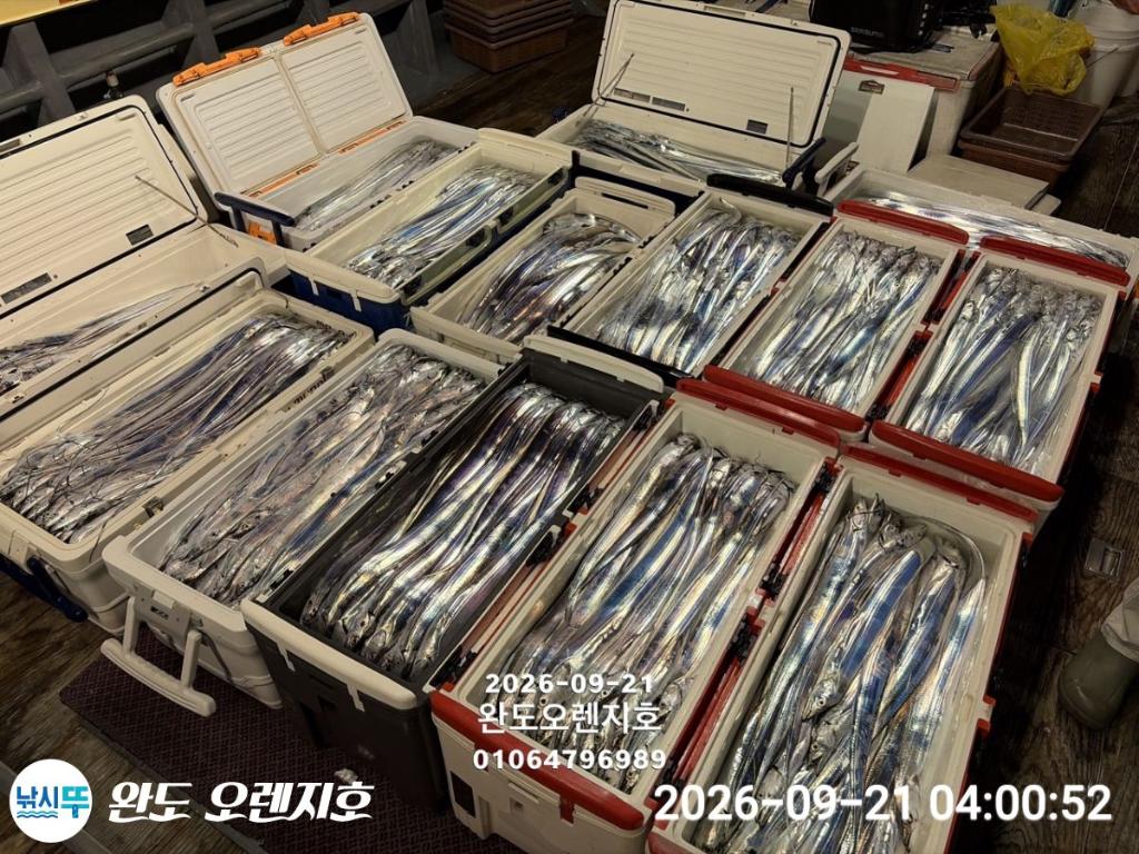 낚시뚜,갈치,완도항,완도 오렌지호,낚시뚜0