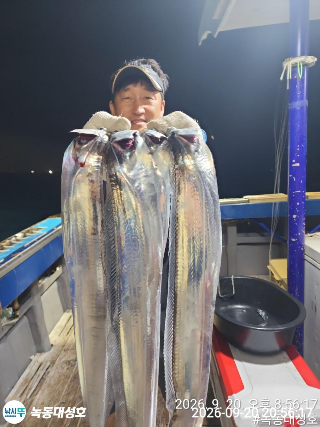 낚시뚜,갈치,녹동항,녹동대성호,낚시뚜41