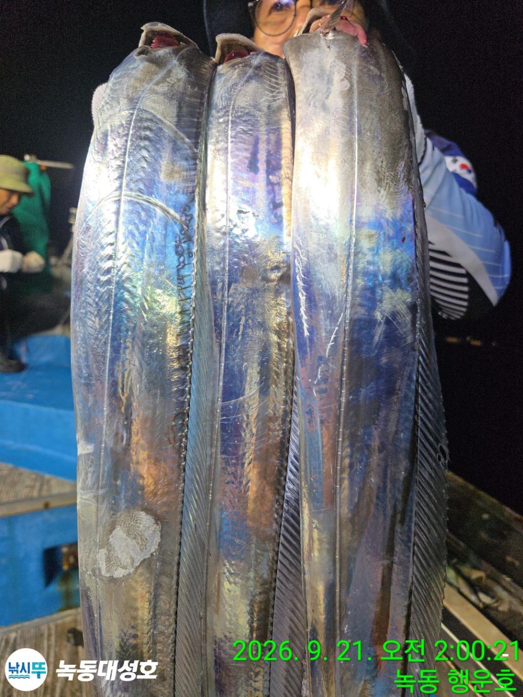 낚시뚜,갈치,녹동항,녹동대성호,낚시뚜29