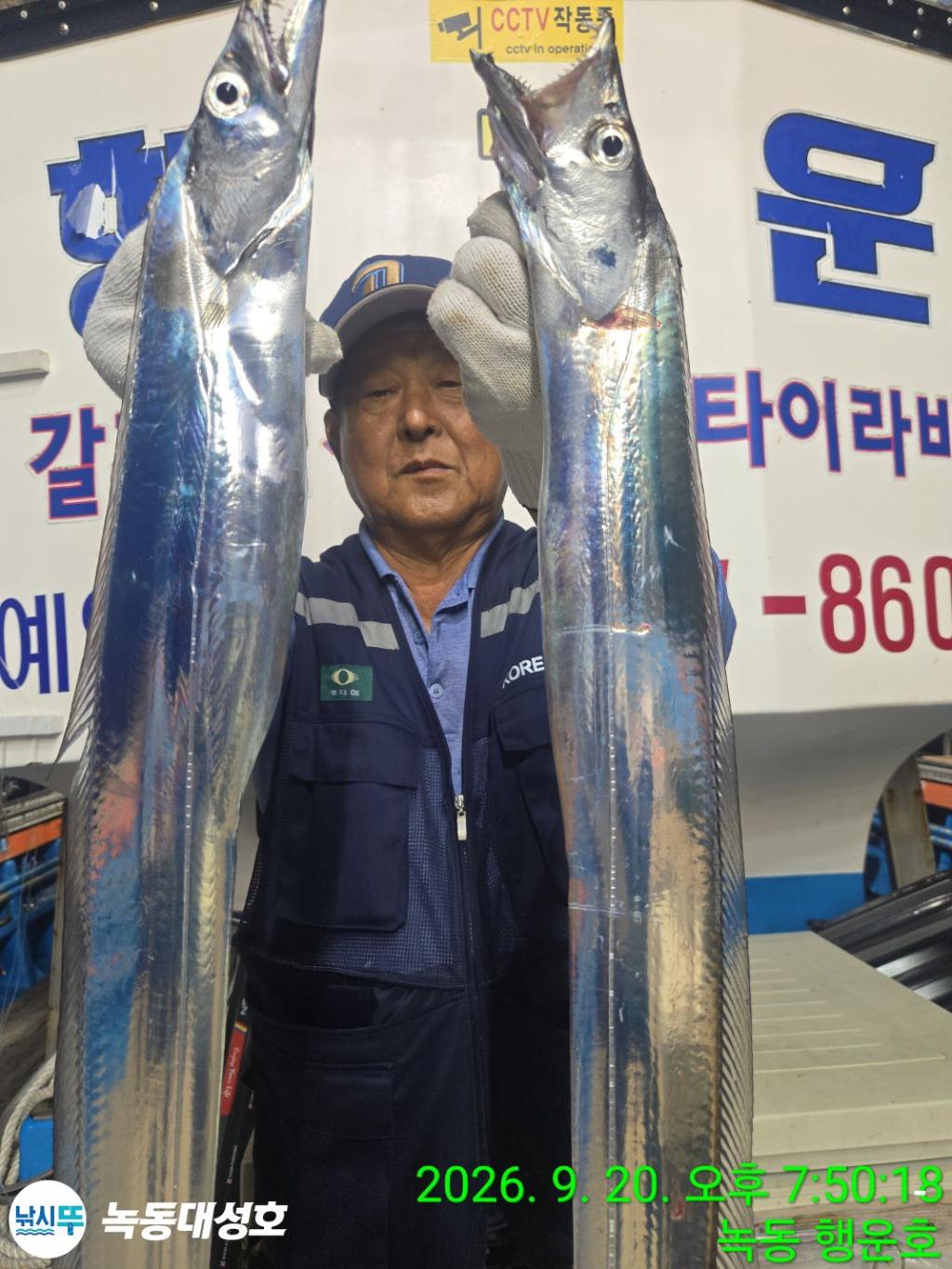 낚시뚜,갈치,녹동항,녹동대성호,낚시뚜23