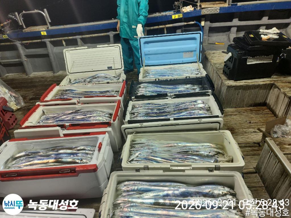 낚시뚜,갈치,녹동항,녹동대성호,낚시뚜3