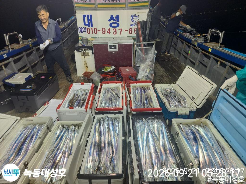 낚시뚜,갈치,녹동항,녹동대성호,낚시뚜0