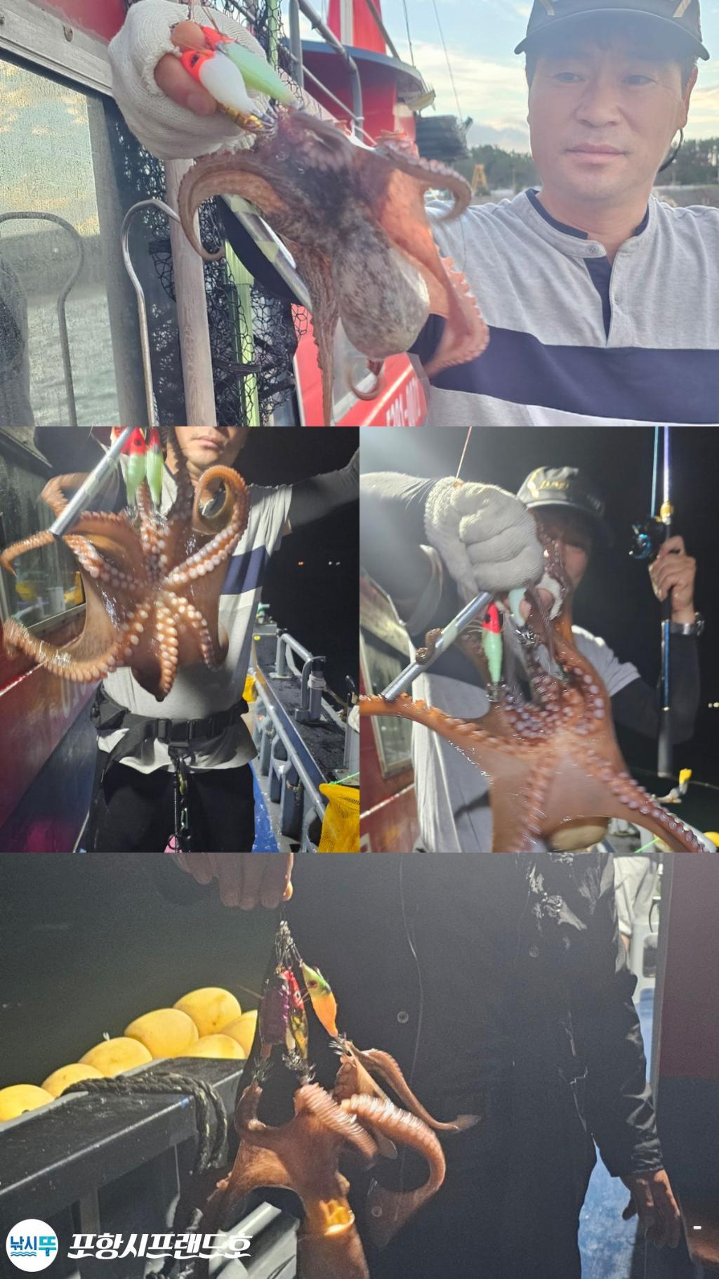 낚시뚜,돌문어,영일만항,포항시프랜드호,낚시뚜5