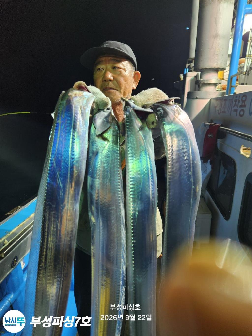 낚시뚜,갈치,통영영운리항,부성피싱7호,낚시뚜1