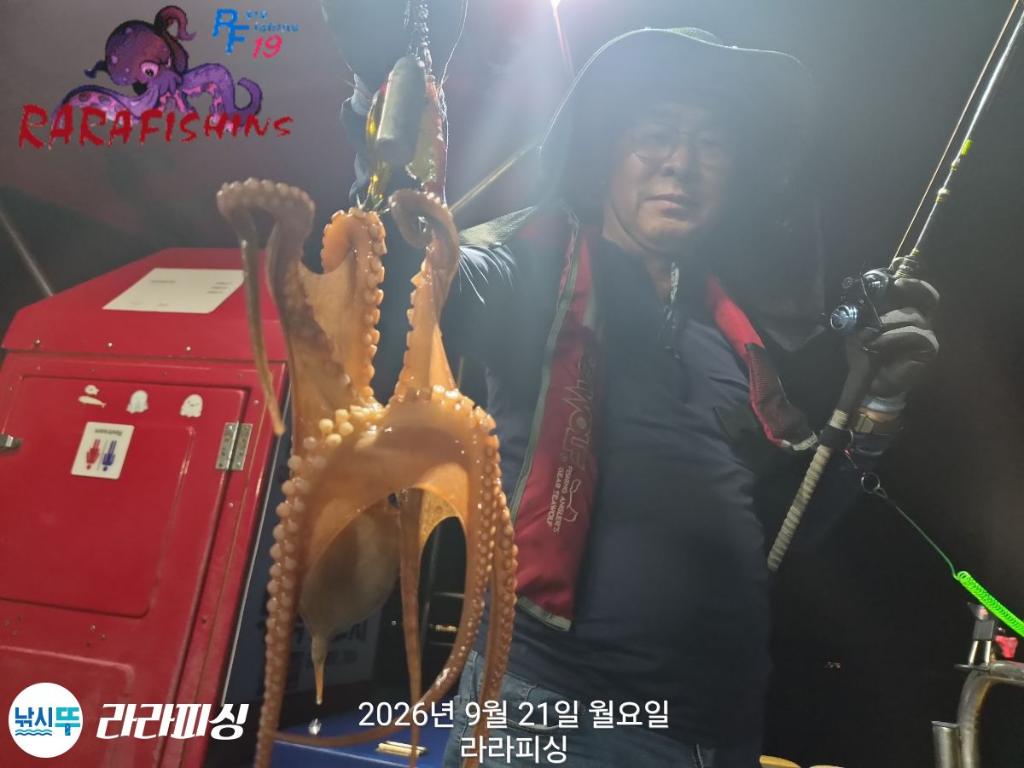 낚시뚜,돌문어,속천항(진해),라라피싱,낚시뚜11