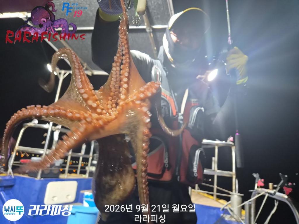 낚시뚜,돌문어,속천항(진해),라라피싱,낚시뚜10