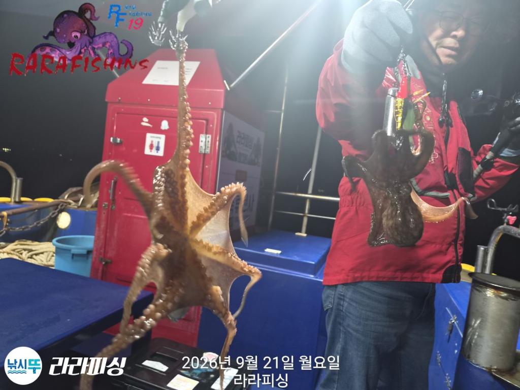 낚시뚜,돌문어,속천항(진해),라라피싱,낚시뚜9