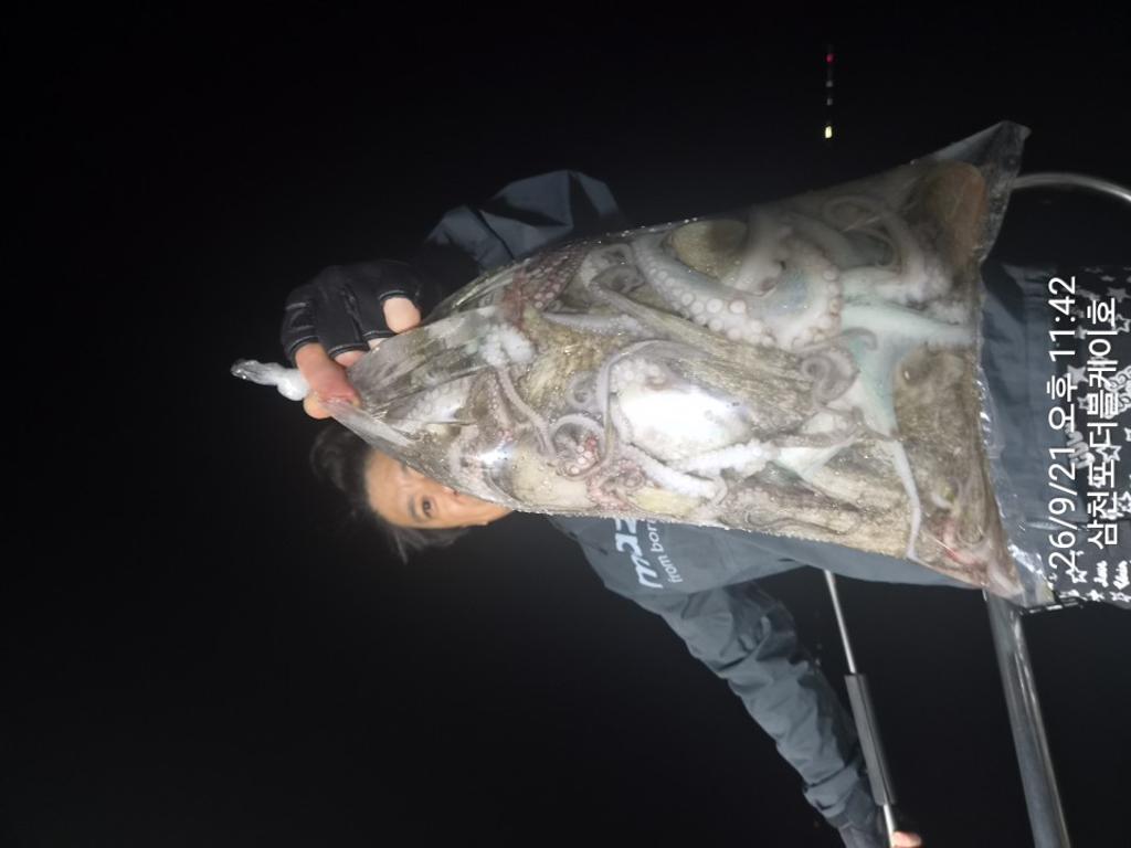 낚시뚜,돌문어,삼천포 팔포항,삼천포 더블케이호,낚시뚜24