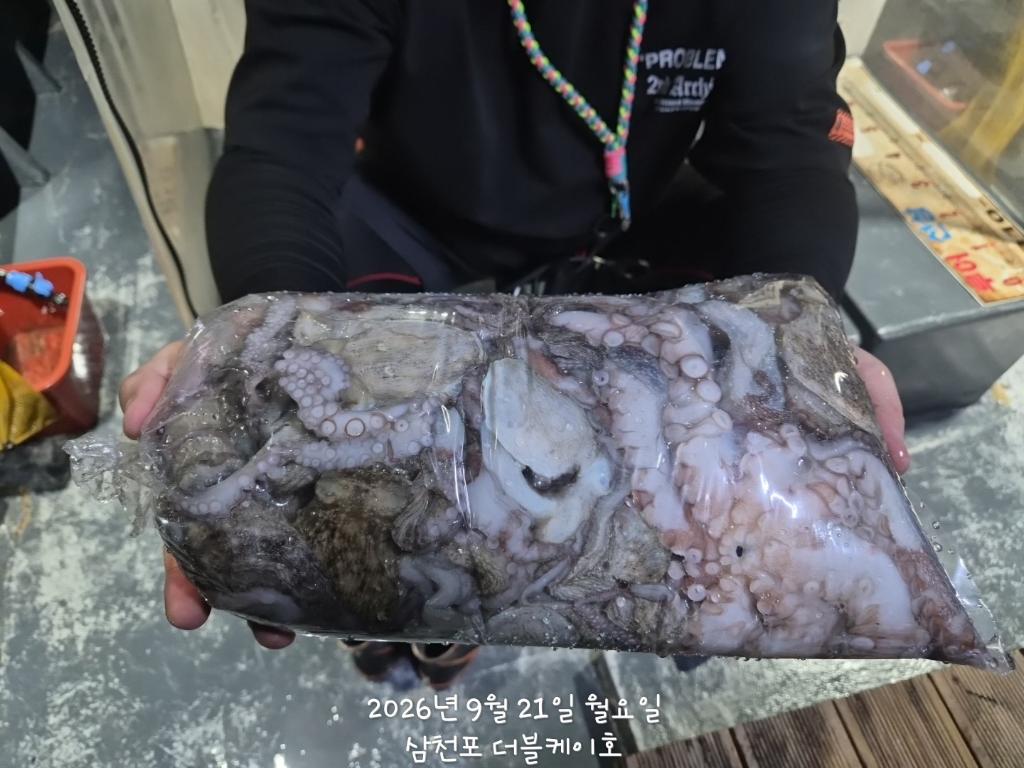 낚시뚜,돌문어,삼천포 팔포항,삼천포 더블케이호,낚시뚜21