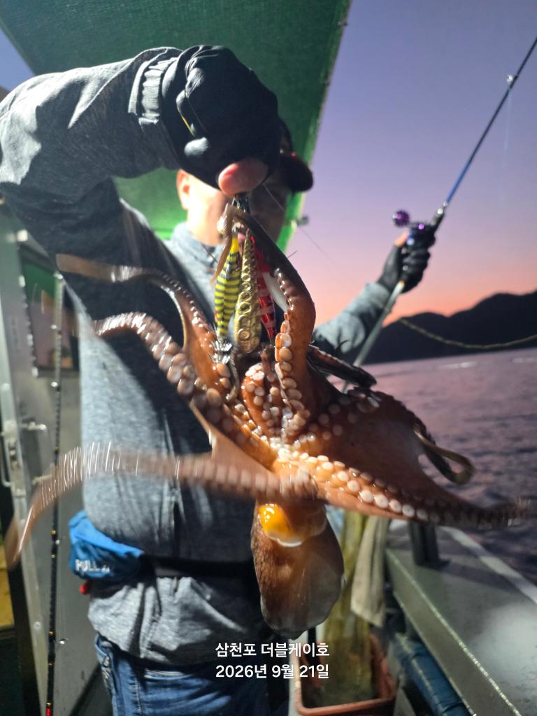 낚시뚜,돌문어,삼천포 팔포항,삼천포 더블케이호,낚시뚜5