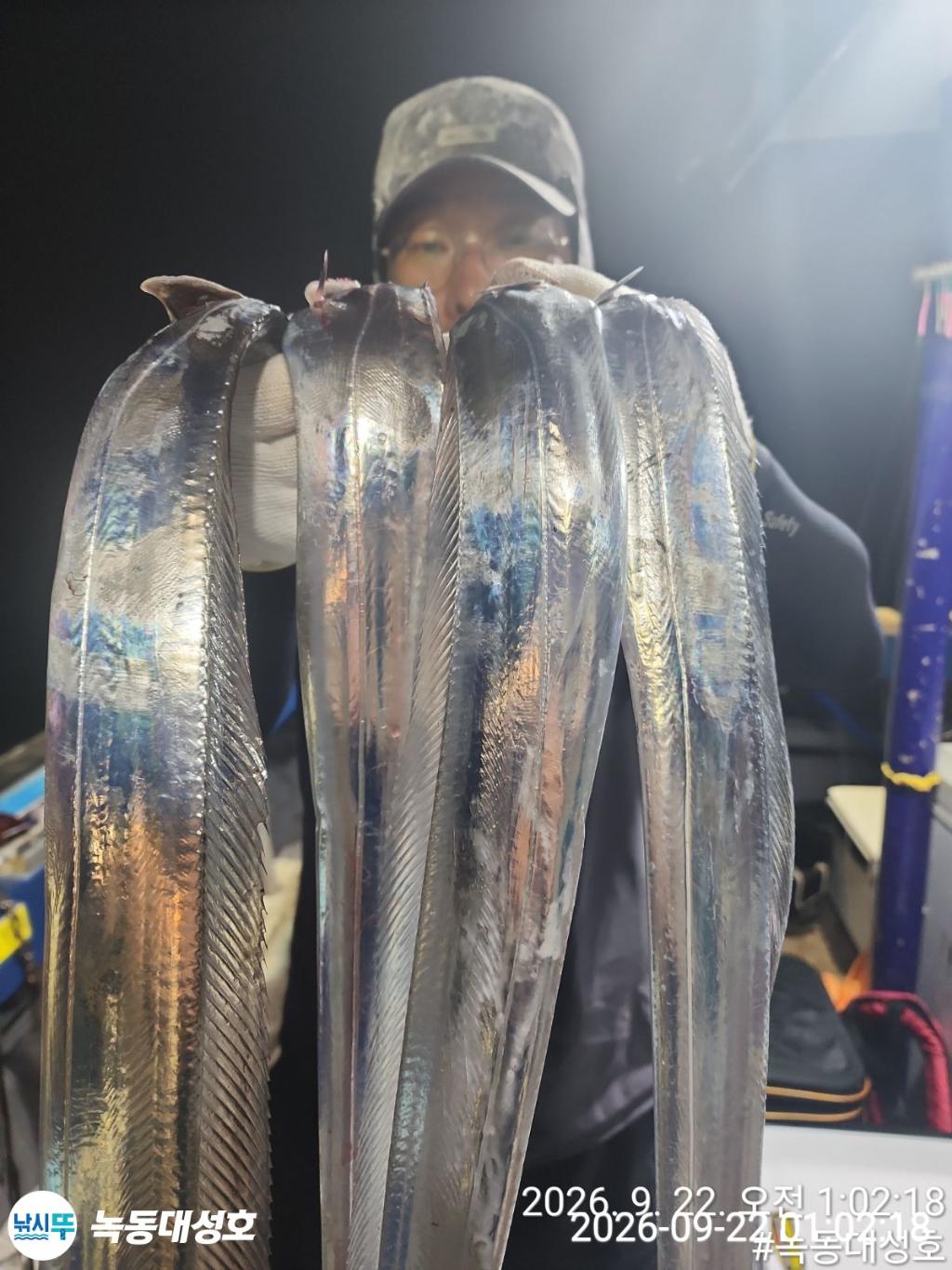 낚시뚜,갈치,녹동항,녹동대성호,낚시뚜29