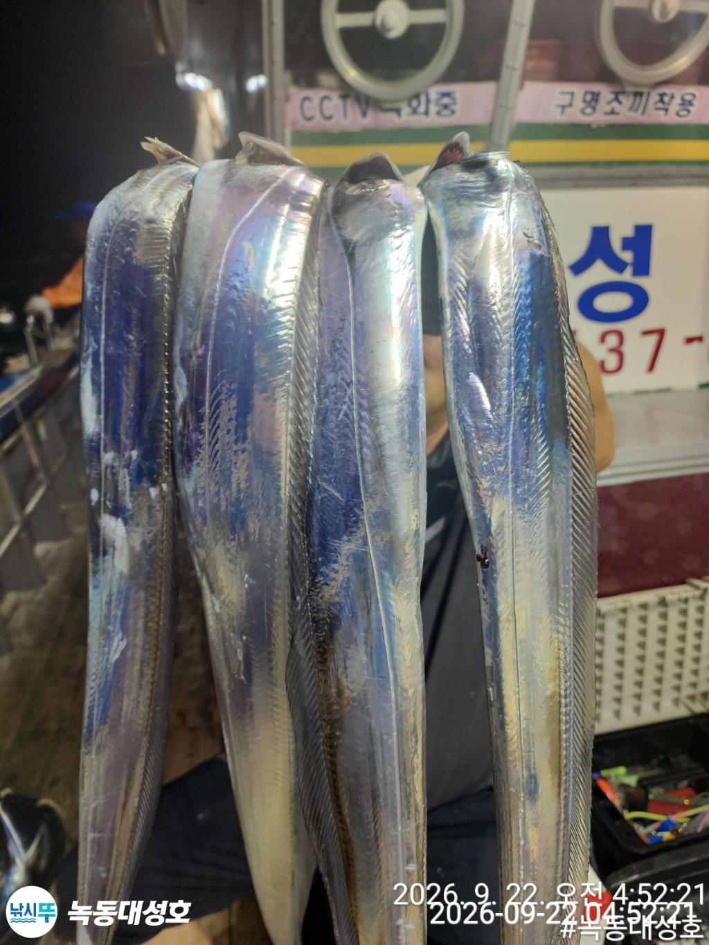 낚시뚜,갈치,녹동항,녹동대성호,낚시뚜27