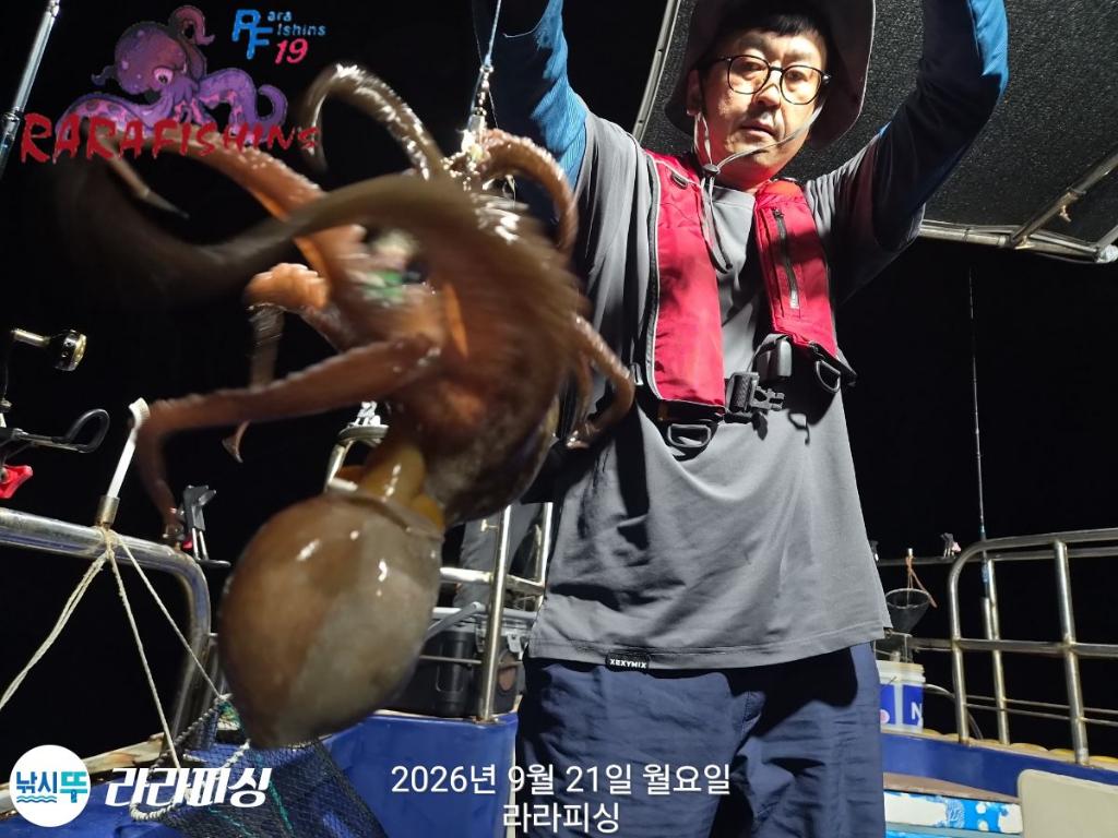낚시뚜,돌문어,속천항(진해),라라피싱,낚시뚜8