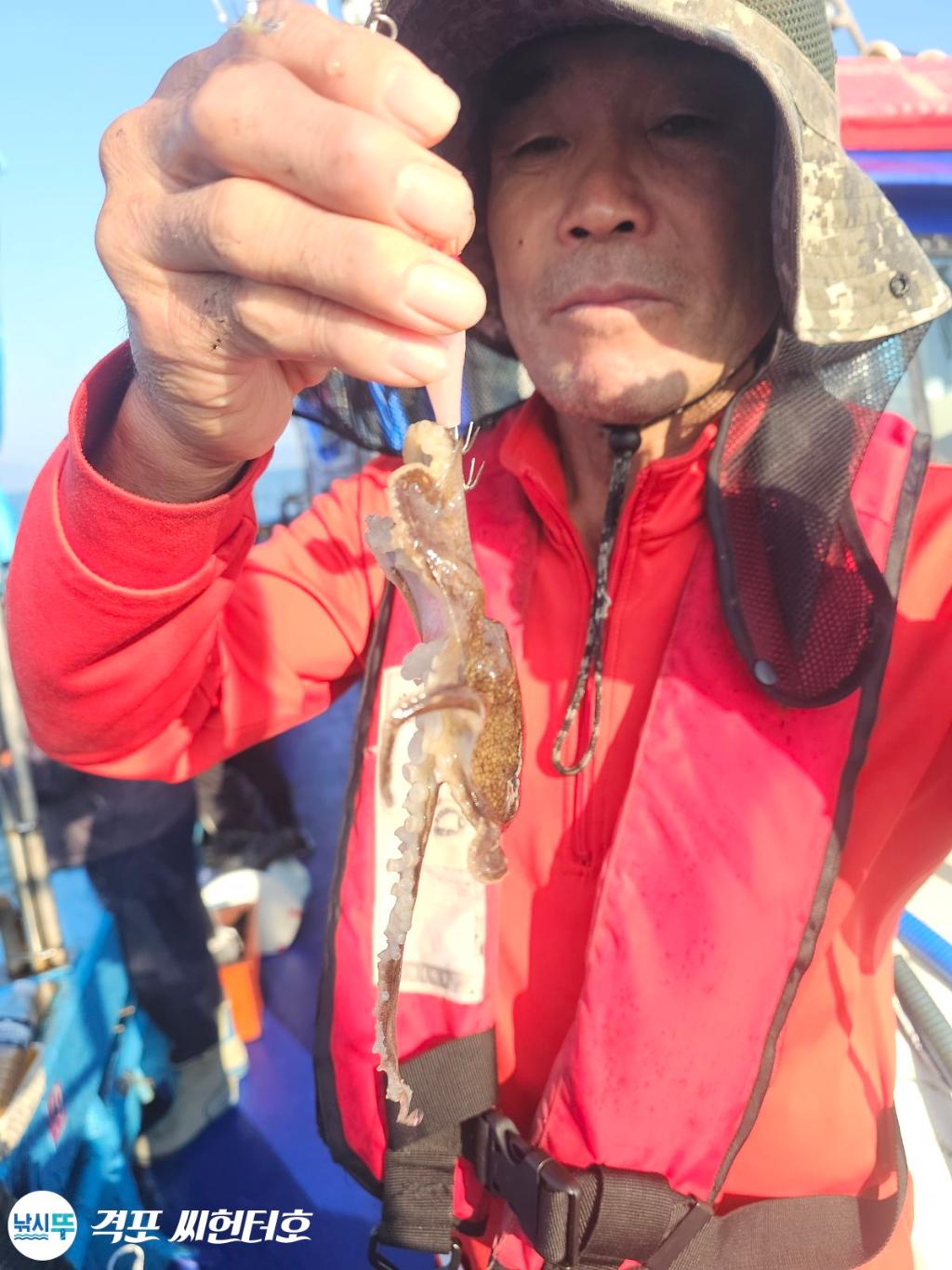 낚시뚜,쭈꾸미,격포,격포 씨헌터호,낚시뚜5