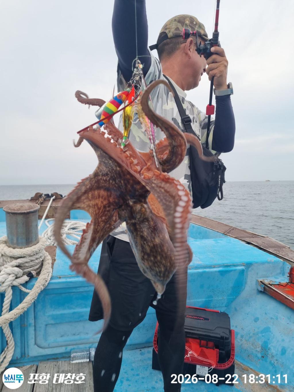 낚시뚜,돌문어,영일만항,포항 태창호,낚시뚜9