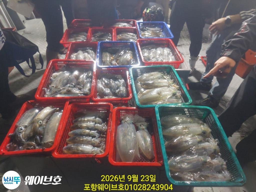 낚시뚜,무늬오징어,구룡포항,뉴웨이브호,낚시뚜7