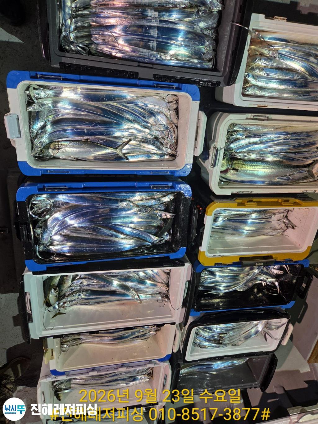 낚시뚜,갈치,진해1부두항,진해레져피싱,낚시뚜24