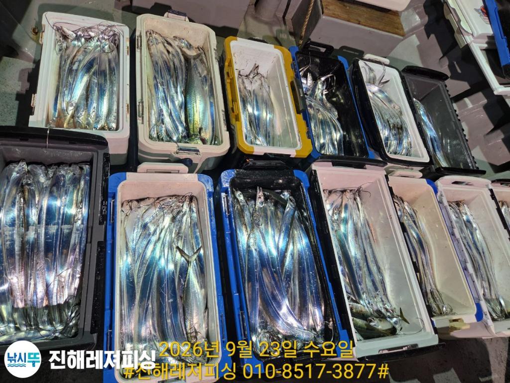 낚시뚜,갈치,진해1부두항,진해레져피싱,낚시뚜23