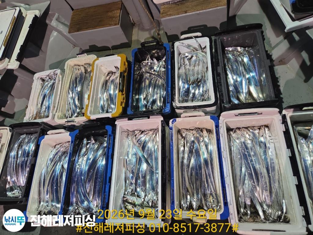 낚시뚜,갈치,진해1부두항,진해레져피싱,낚시뚜22
