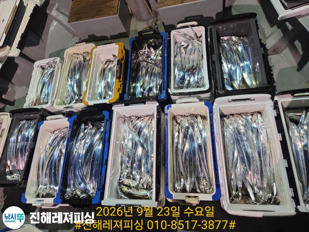 낚시뚜,갈치,진해1부두항,진해레져피싱,낚시뚜21