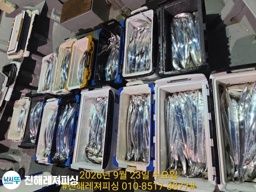 낚시뚜,갈치,진해1부두항,진해레져피싱,낚시뚜20