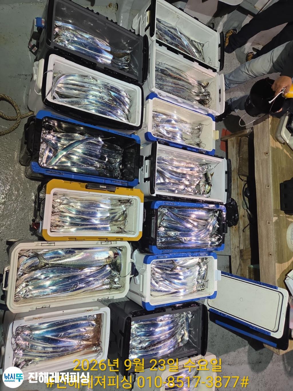낚시뚜,갈치,진해1부두항,진해레져피싱,낚시뚜19