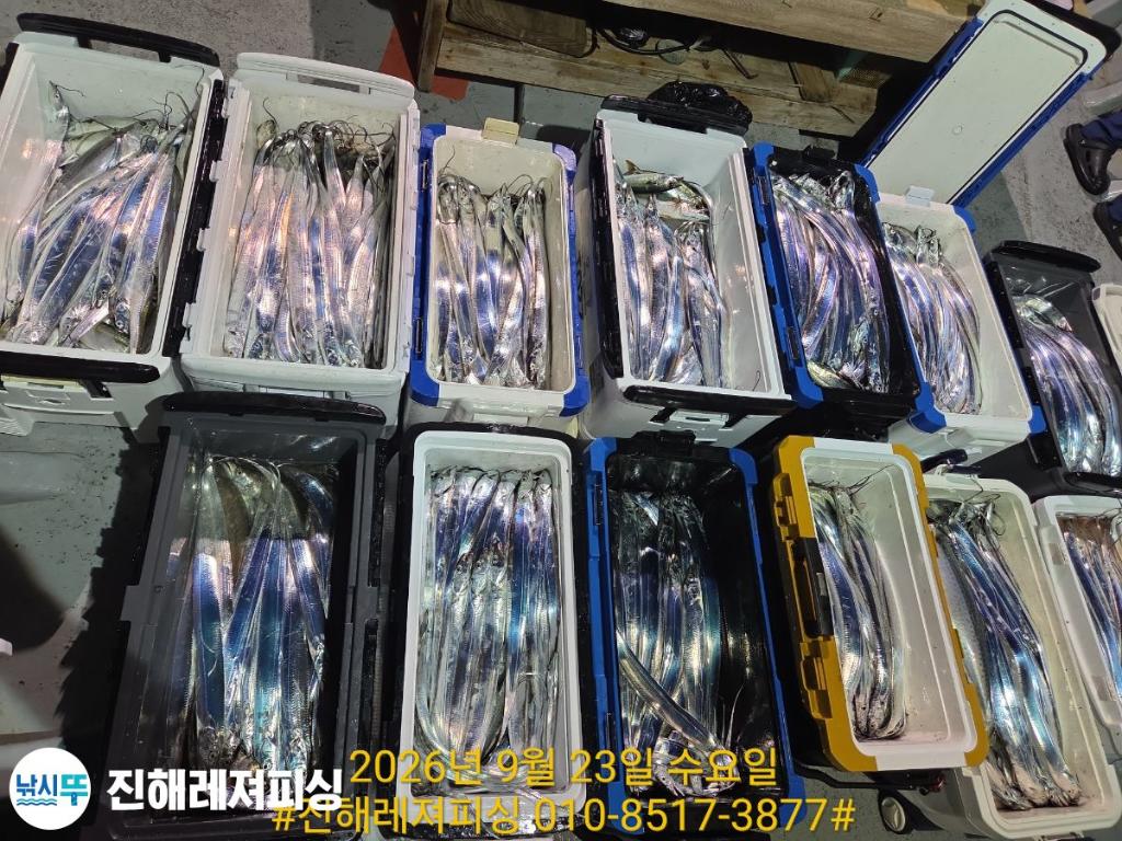 낚시뚜,갈치,진해1부두항,진해레져피싱,낚시뚜18