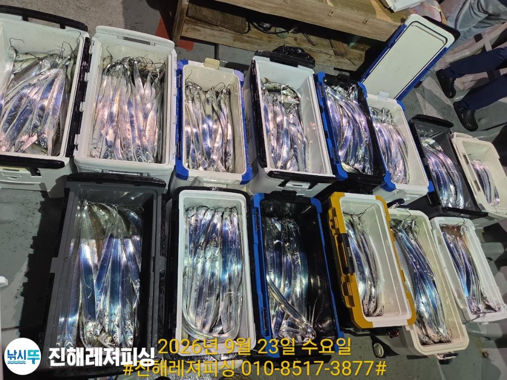 낚시뚜,갈치,진해1부두항,진해레져피싱,낚시뚜17