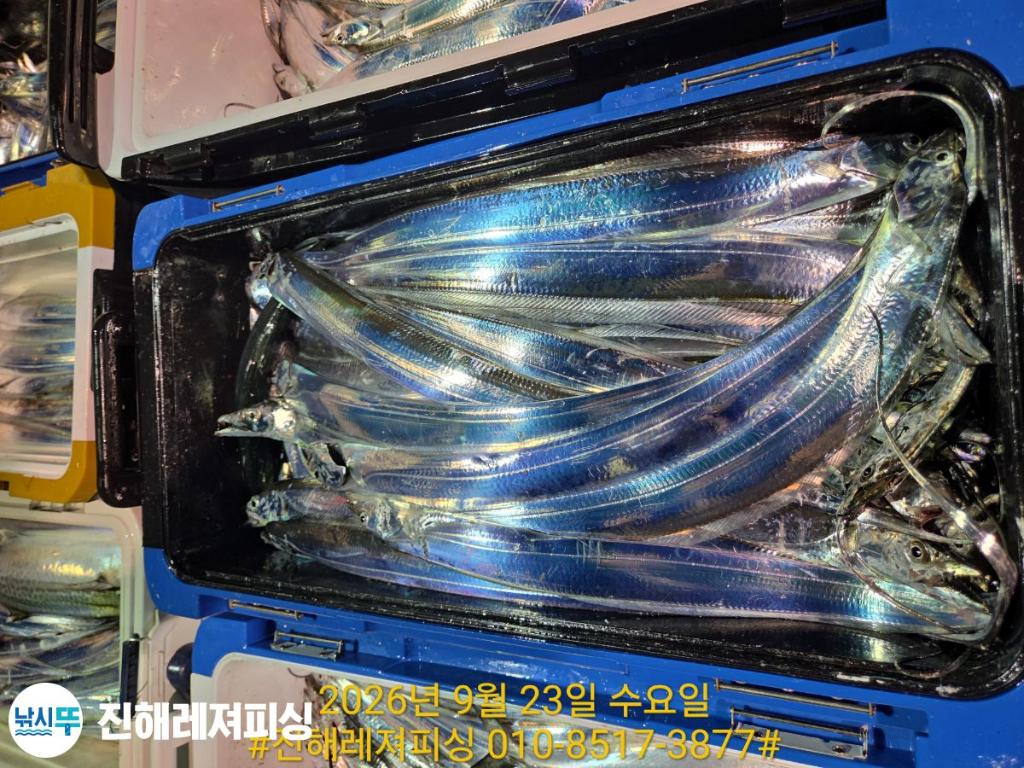 낚시뚜,갈치,진해1부두항,진해레져피싱,낚시뚜16