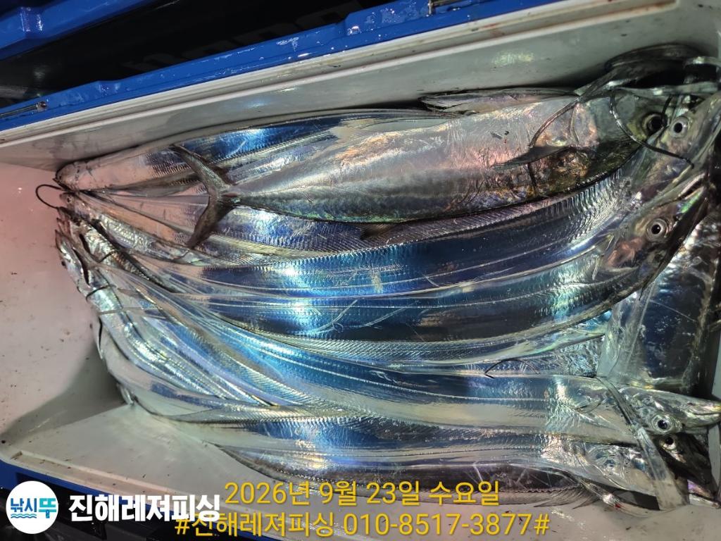 낚시뚜,갈치,진해1부두항,진해레져피싱,낚시뚜15