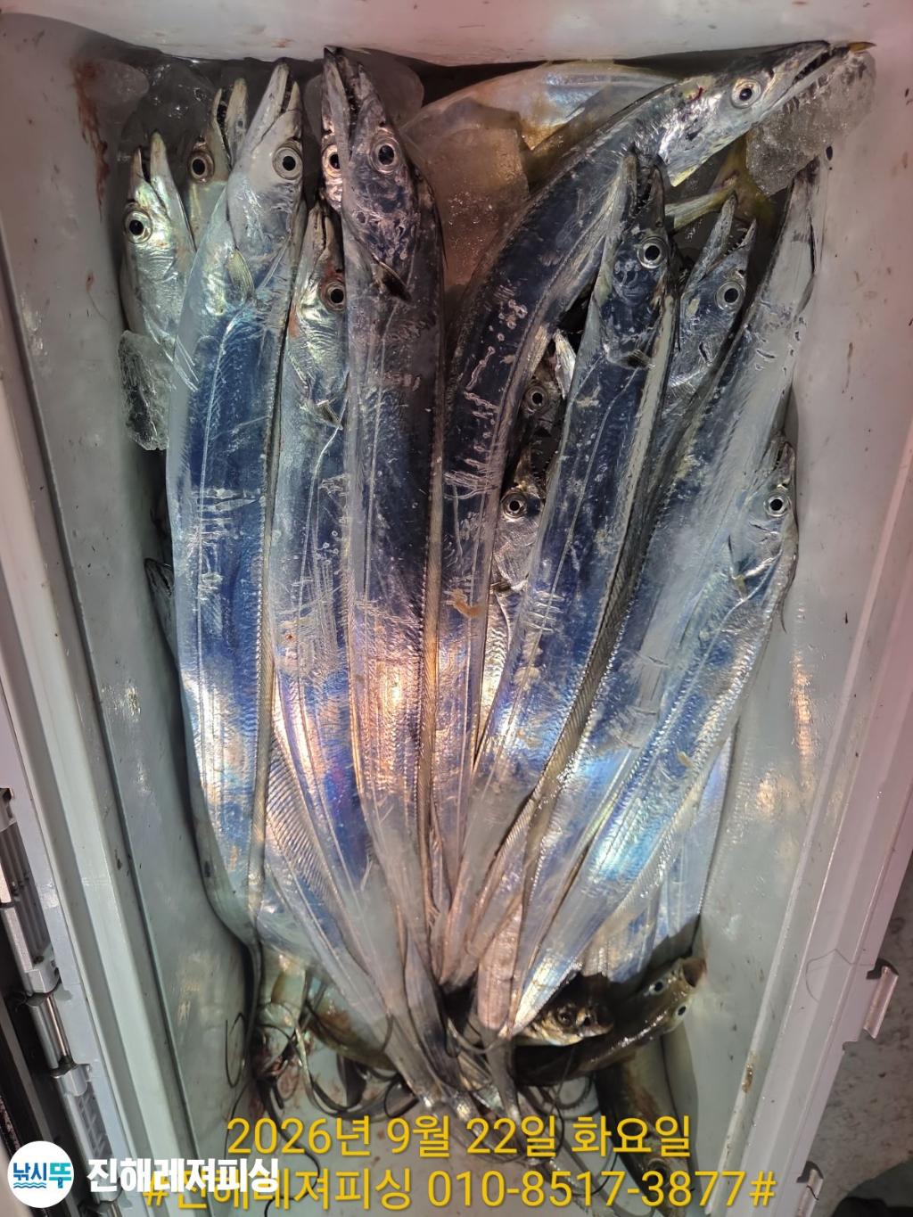 낚시뚜,갈치,진해1부두항,진해레져피싱,낚시뚜12