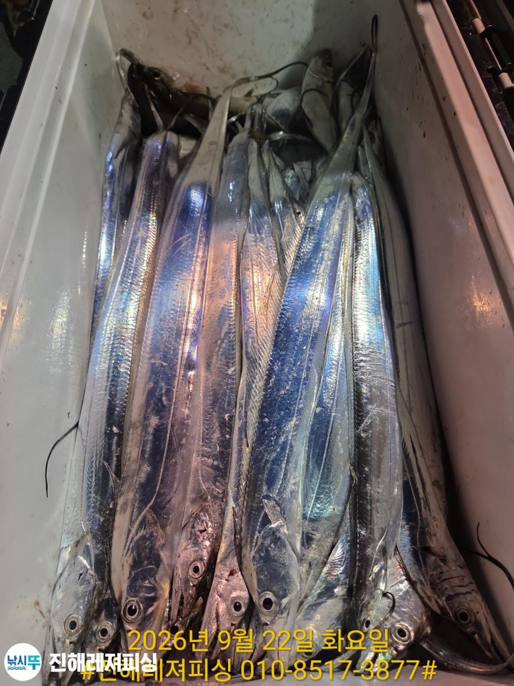 낚시뚜,갈치,진해1부두항,진해레져피싱,낚시뚜11