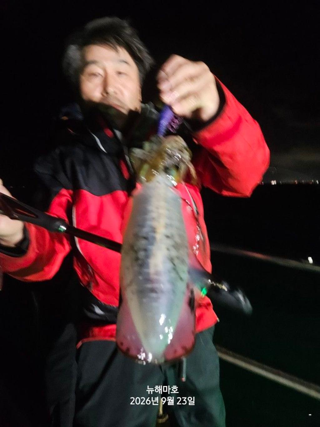 낚시뚜,무늬오징어,영일만항,뉴해마호,낚시뚜28