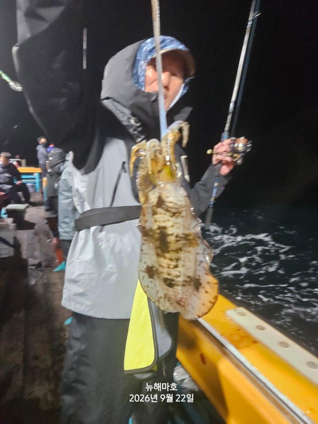 낚시뚜,무늬오징어,영일만항,뉴해마호,낚시뚜10