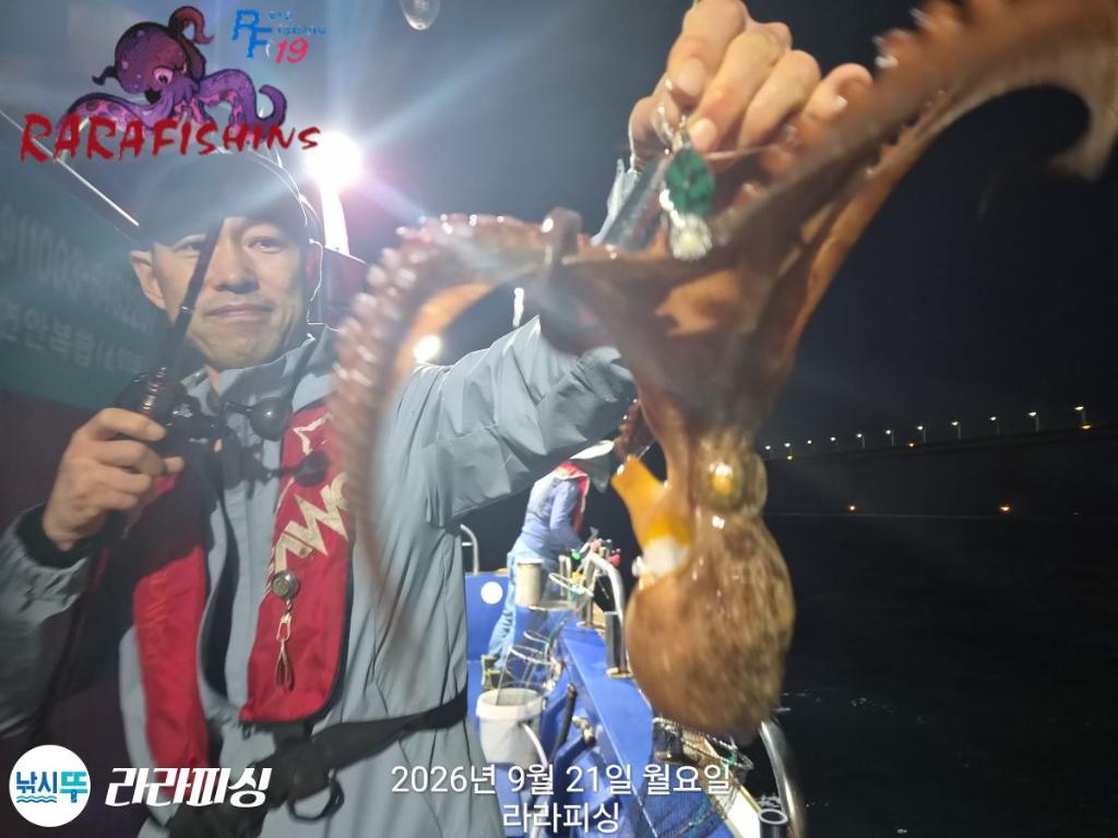 낚시뚜,돌문어,속천항(진해),라라피싱,낚시뚜8